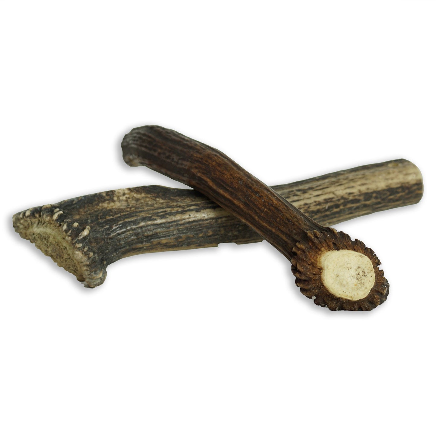 Antler Chew - Medium - The Hungry Hound Co. -