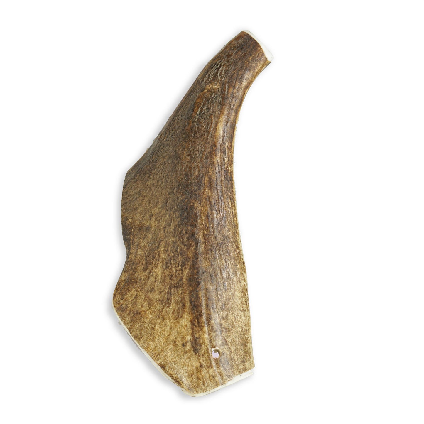 Fallow Antler Chew - The Hungry Hound Co. -